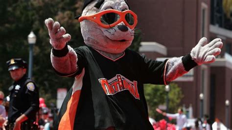 The Most Memorable Lou Seal Performances of All Time
